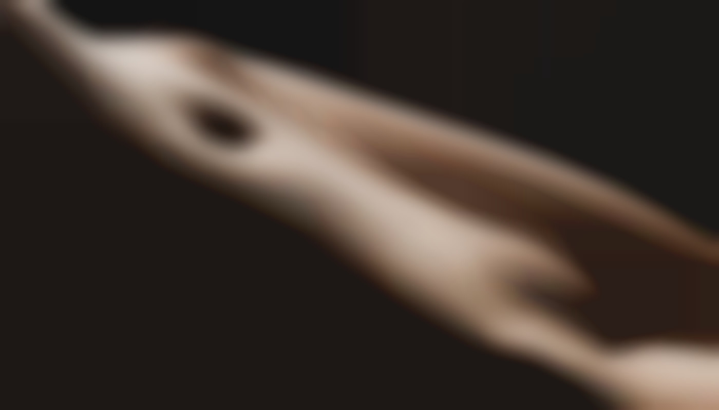 Exploring The Rise Of Niche Adult Gaming Communities Online